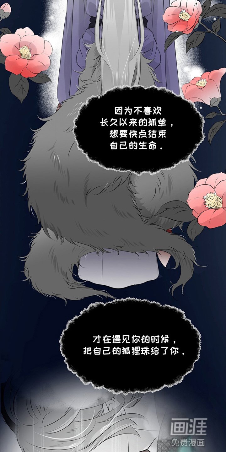 第20章：寻找