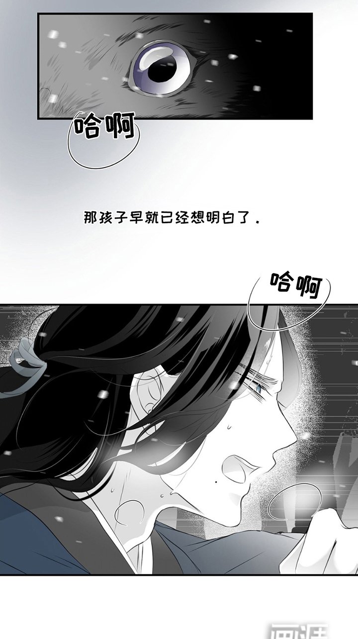 第20章：寻找