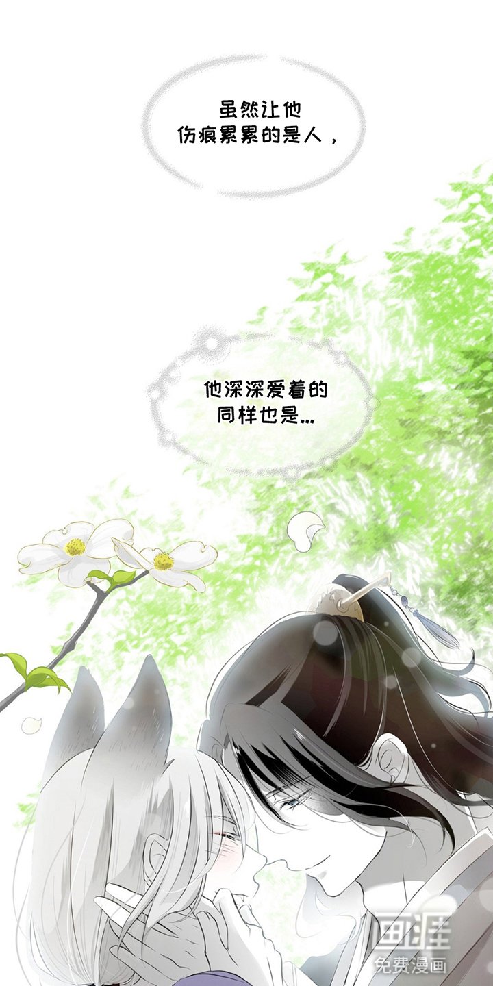 第20章：寻找