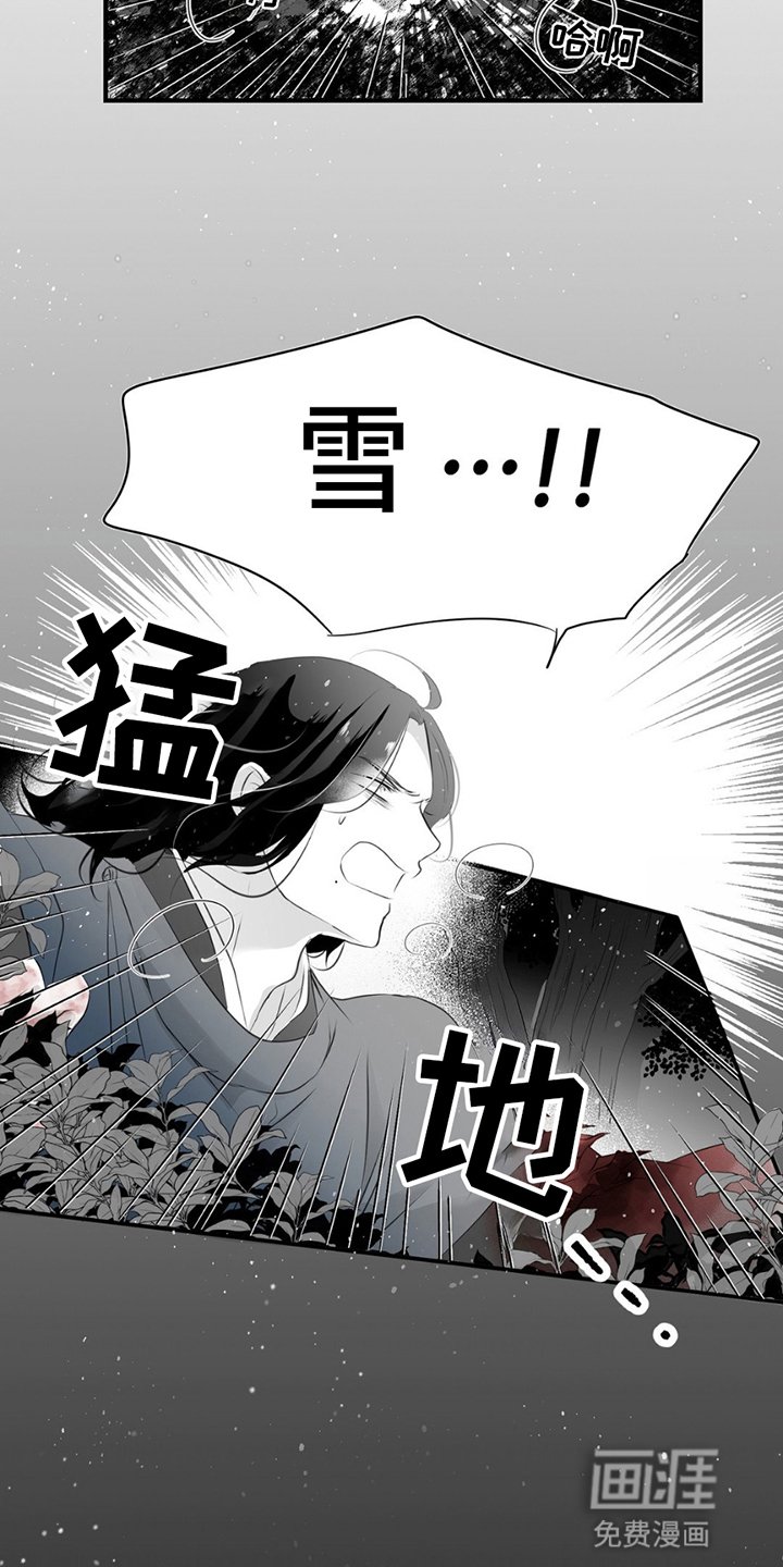 第20章：寻找