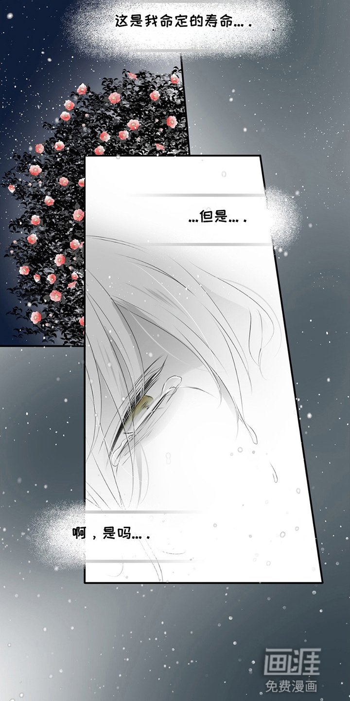 第21章：找到他