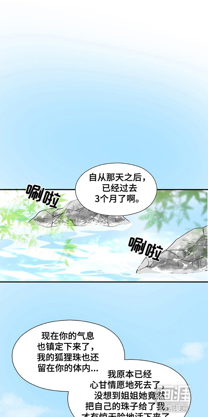 第22章：珍贵的存在（完结）