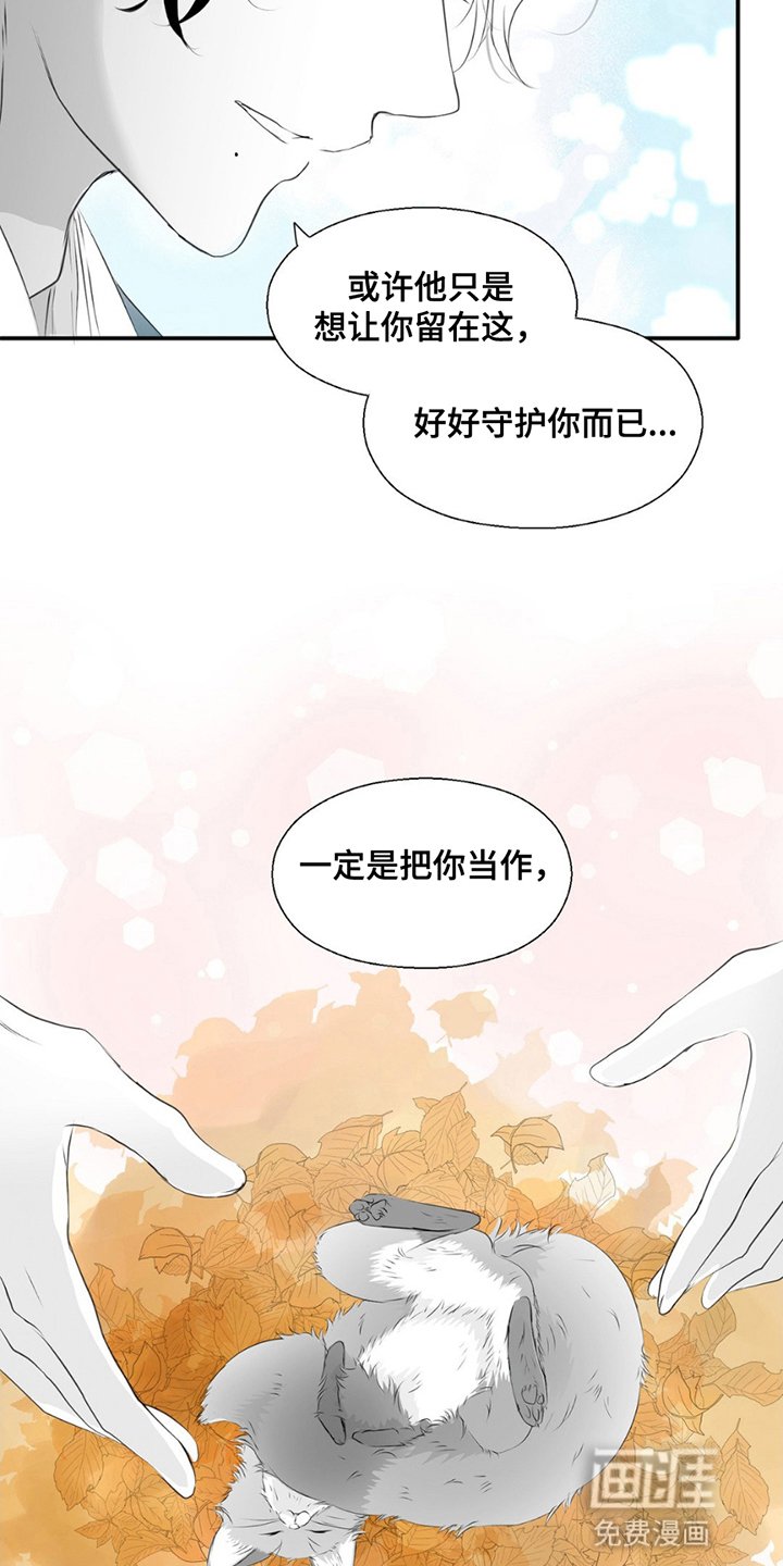 第22章：珍贵的存在（完结）