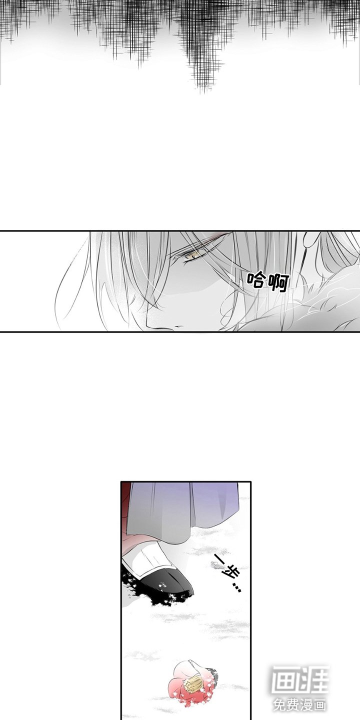 第4章：见面