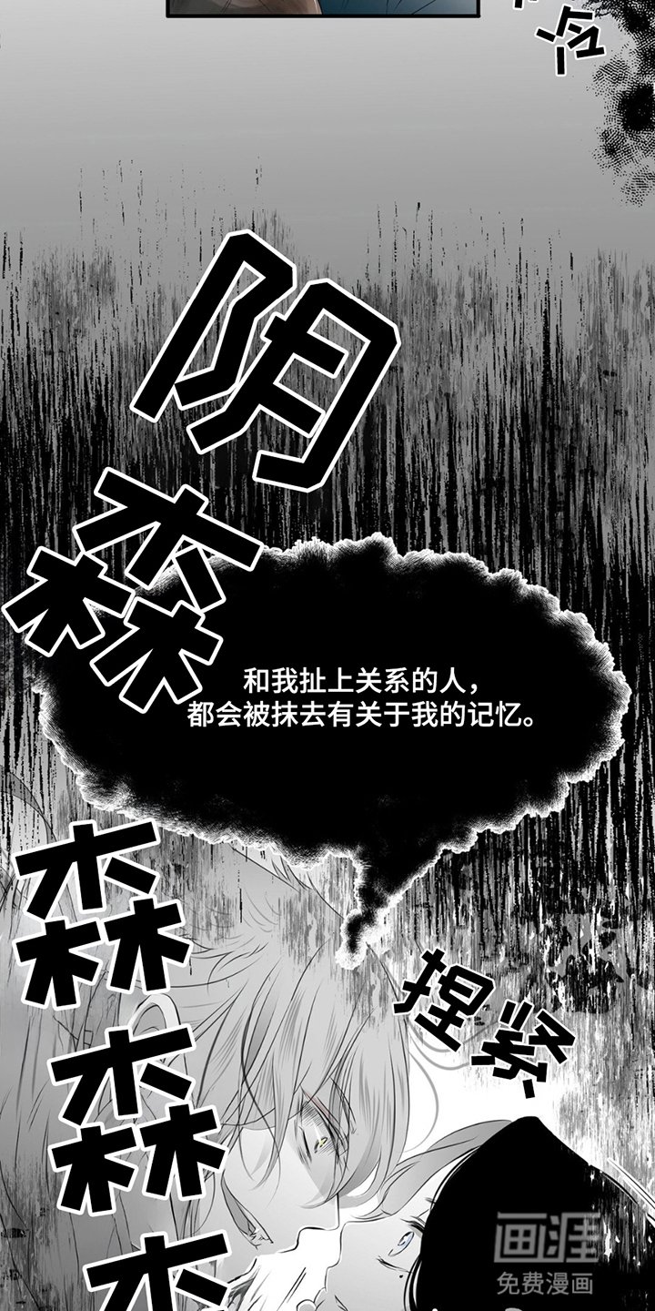 第5章：陪伴