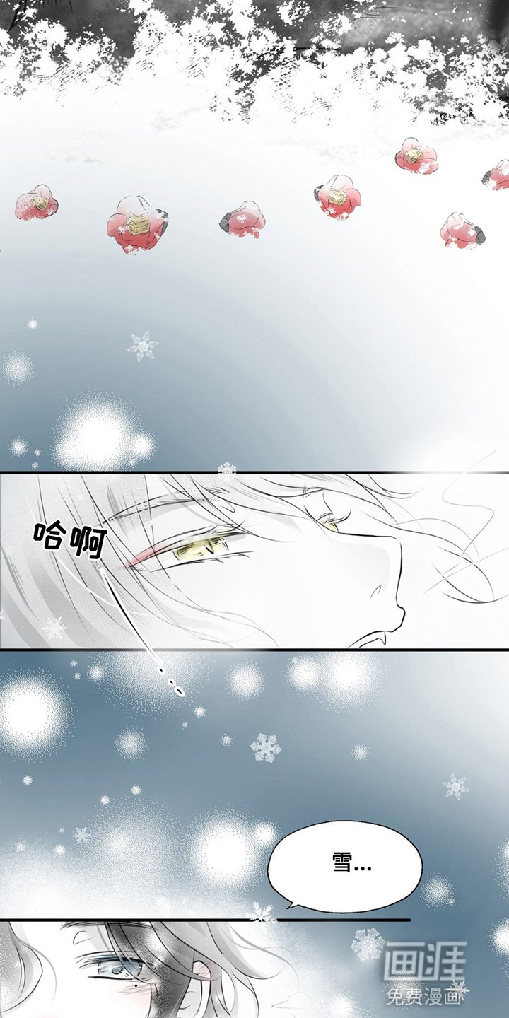 第6章：喜欢