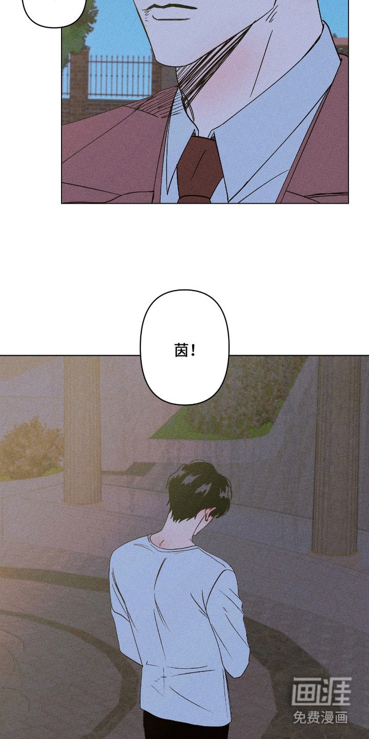 第11章：伤口