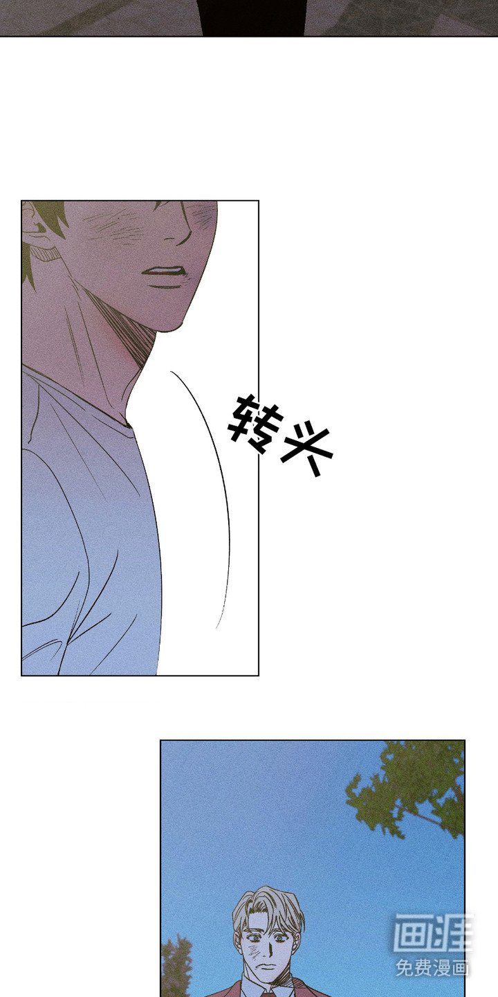 第11章：伤口