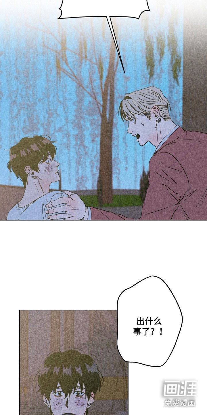 第11章：伤口