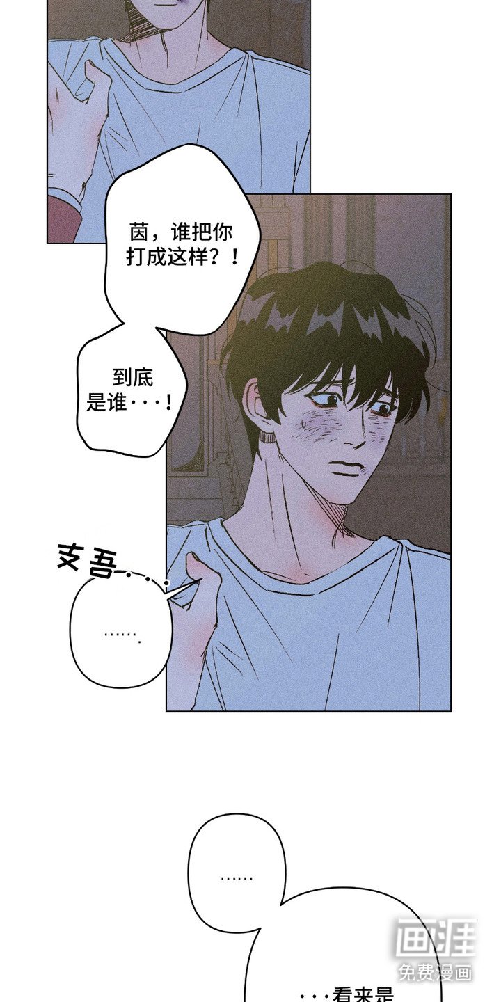 第11章：伤口