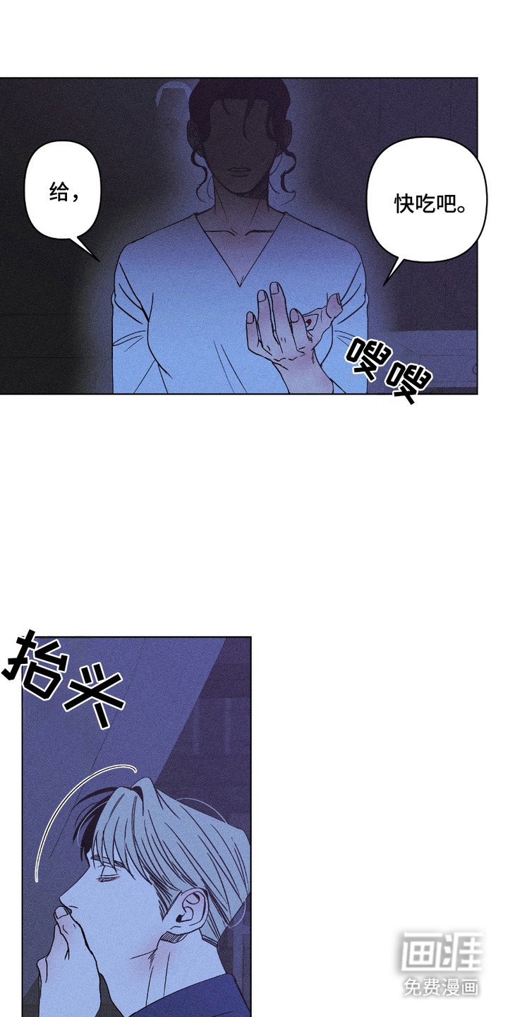 第11章：伤口