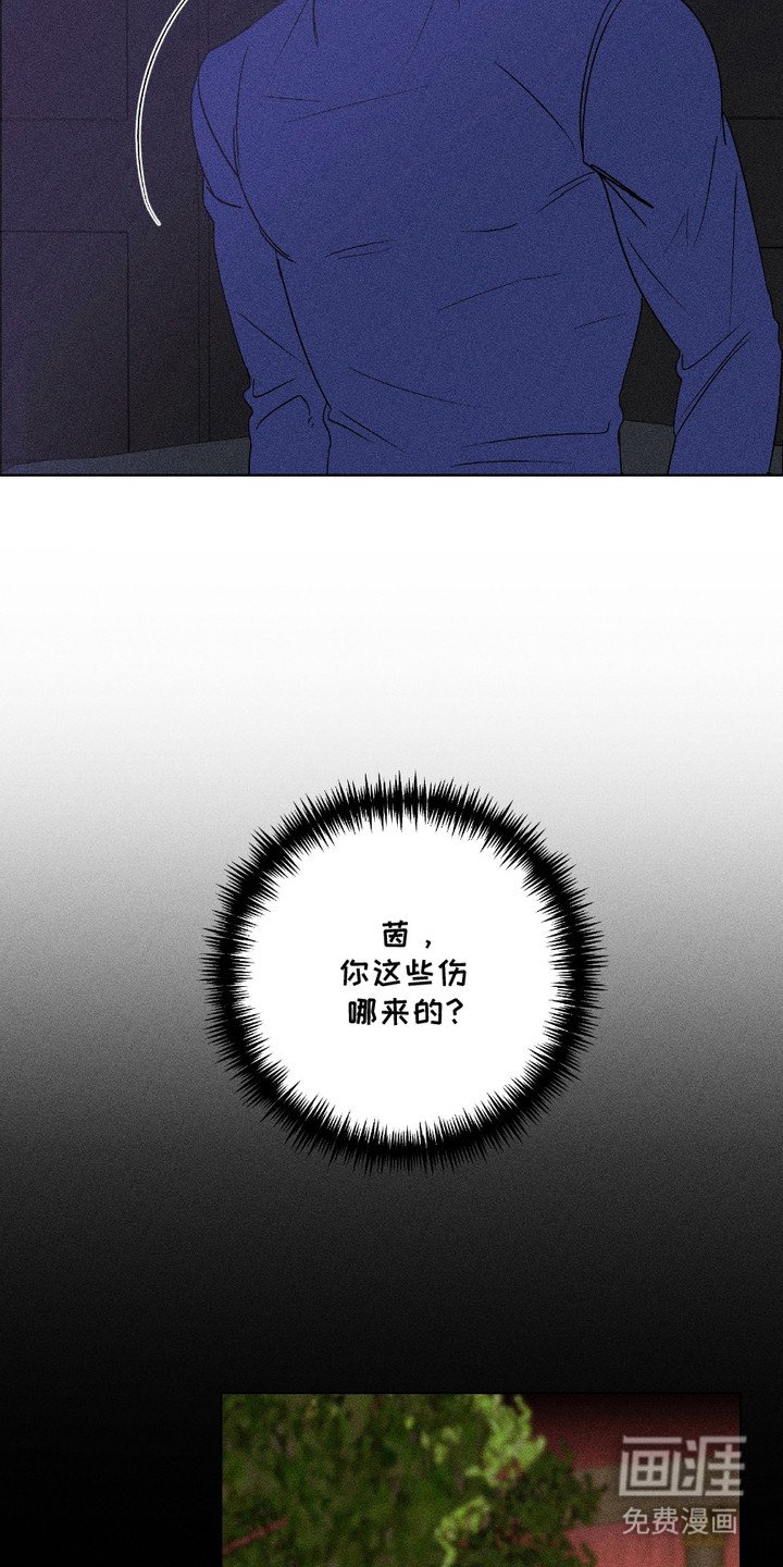 第12章：暗自行动