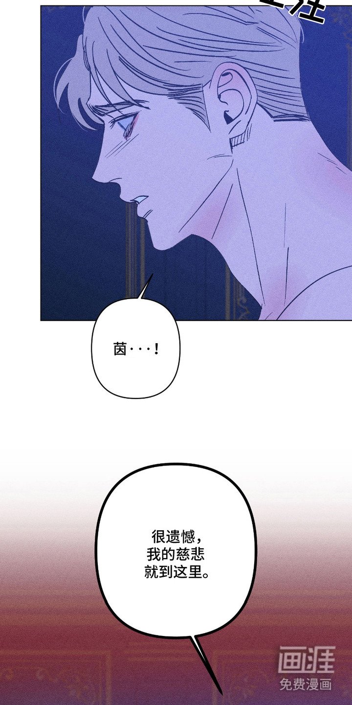第15章：慈悲