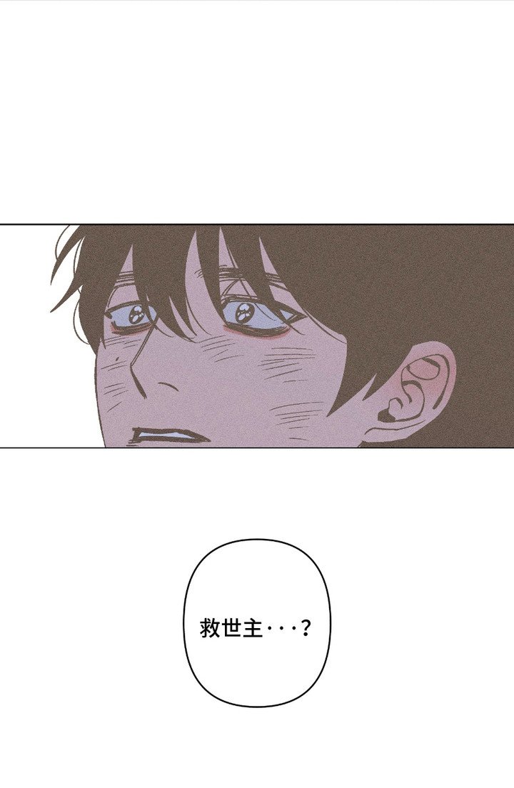 第17章：信仰