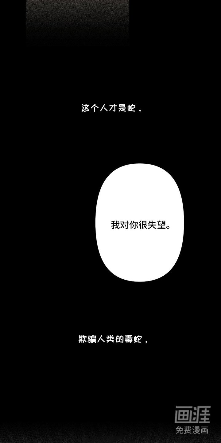 第3章：特别的礼物