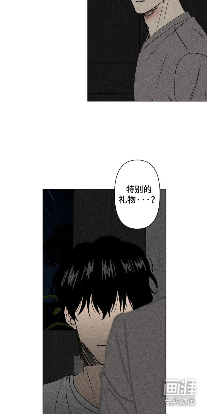 第3章：特别的礼物
