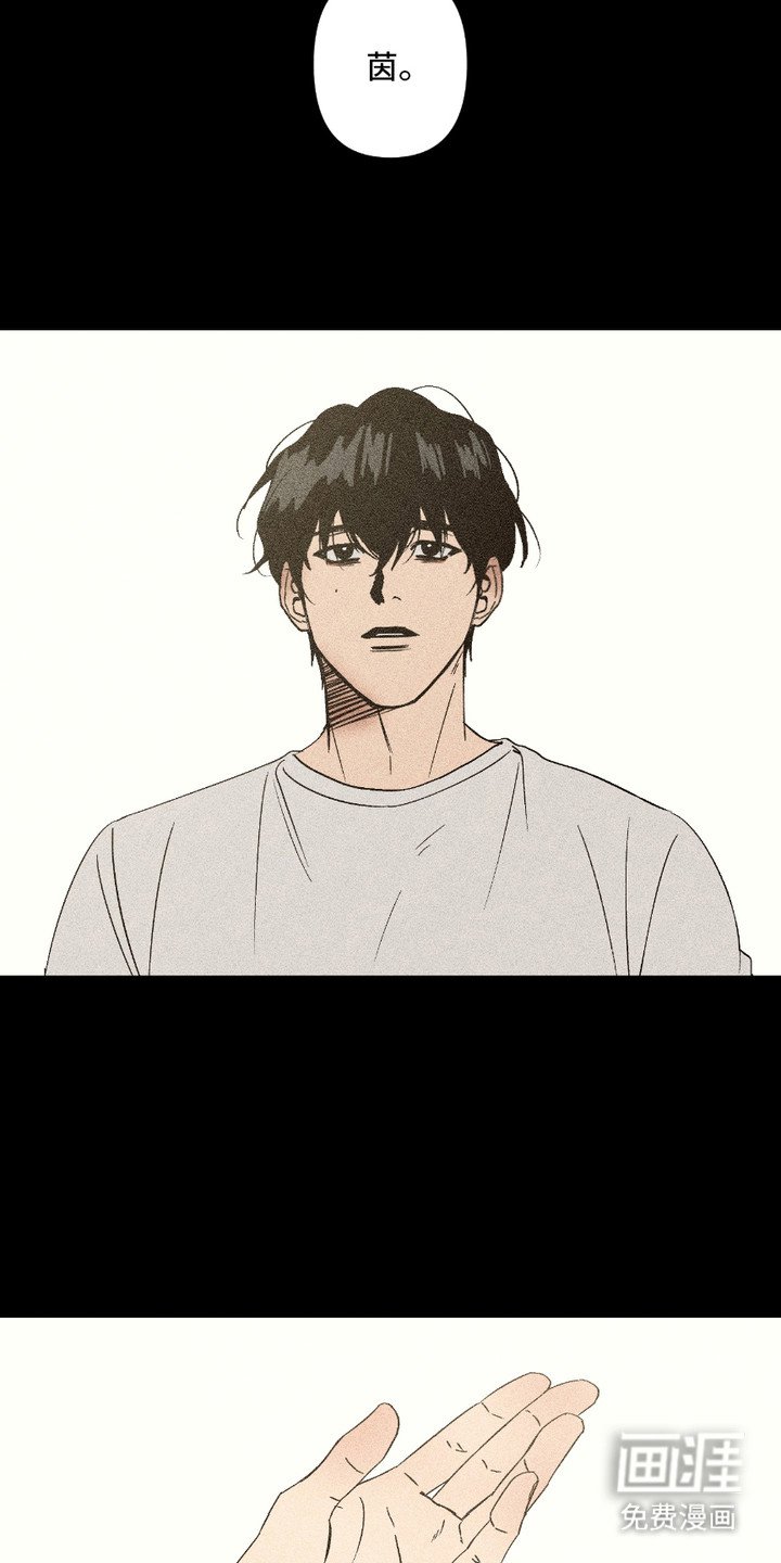 第6章：变数