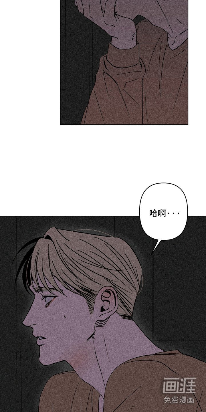第6章：变数