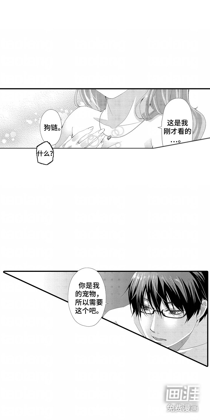 第12章：没耐心的宠物