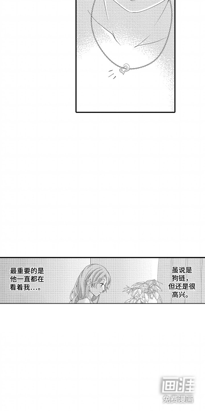 第12章：没耐心的宠物