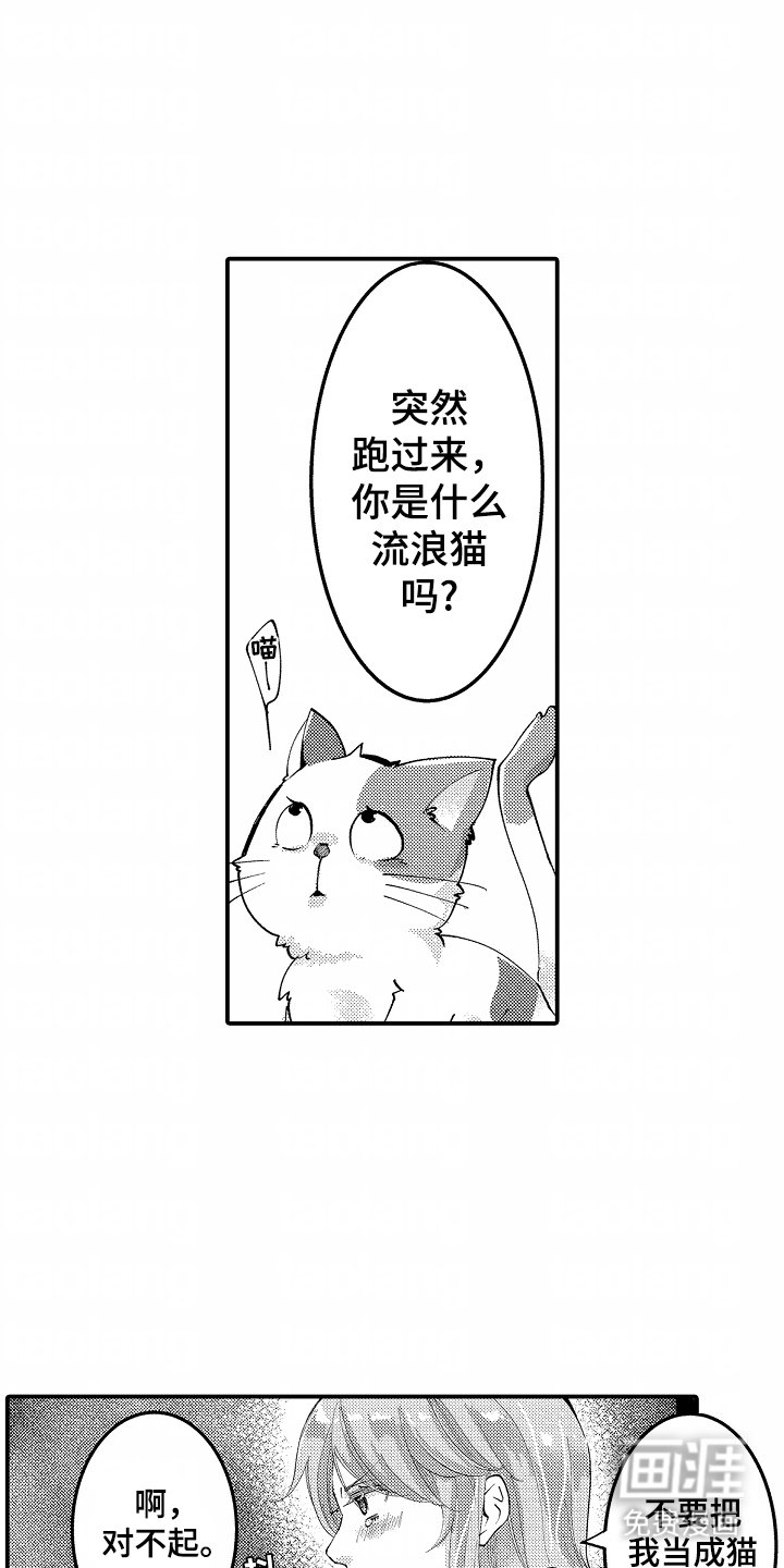 第3章：没有变