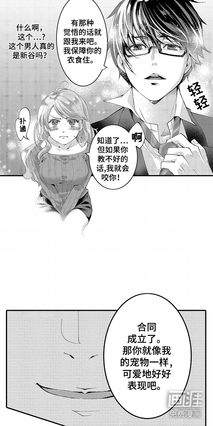第3章：没有变