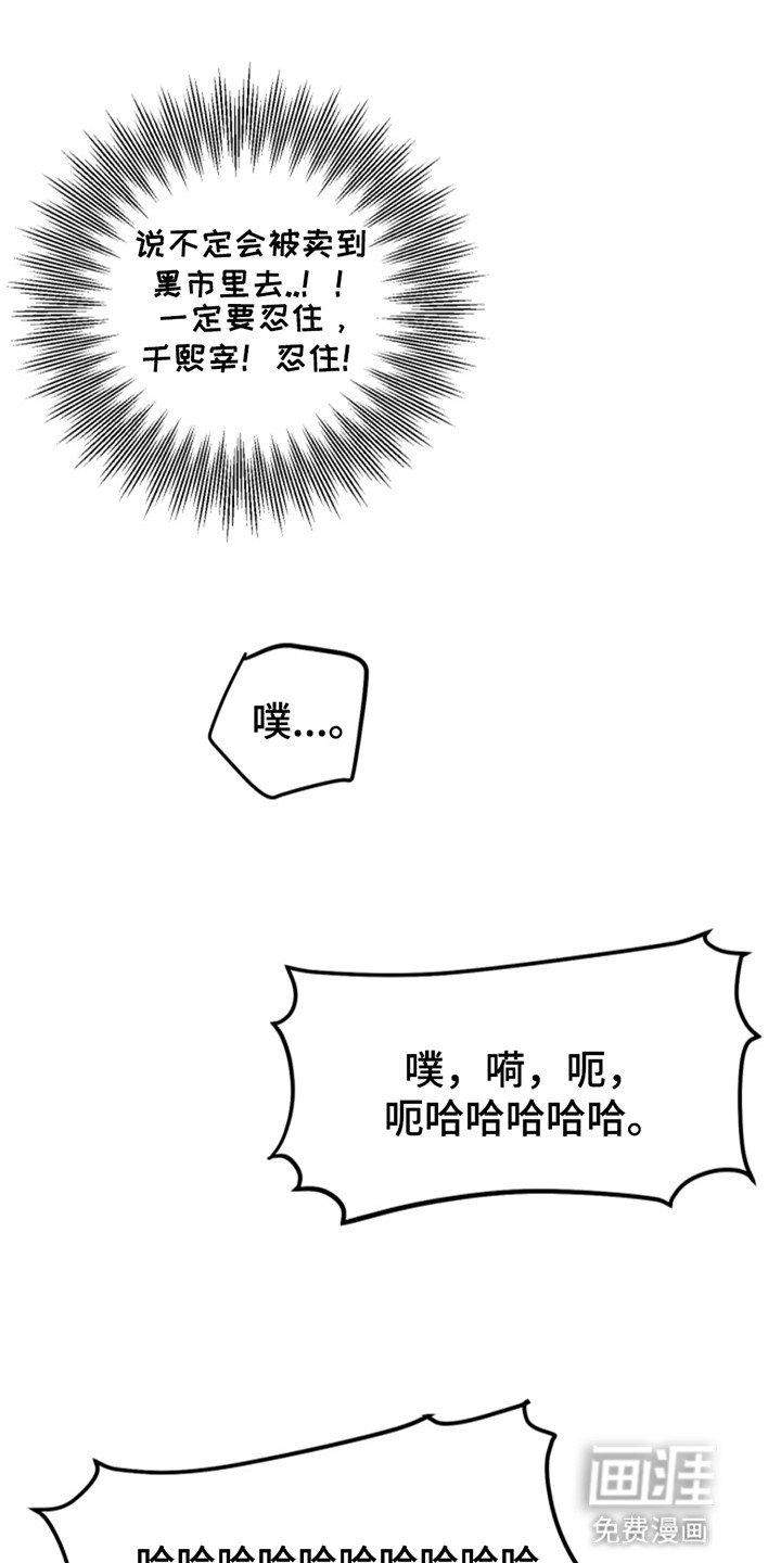 第5章：条件