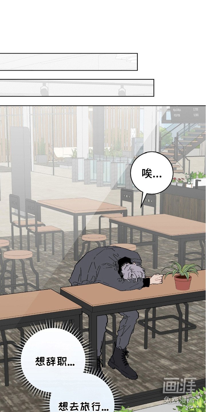 第11章：心累