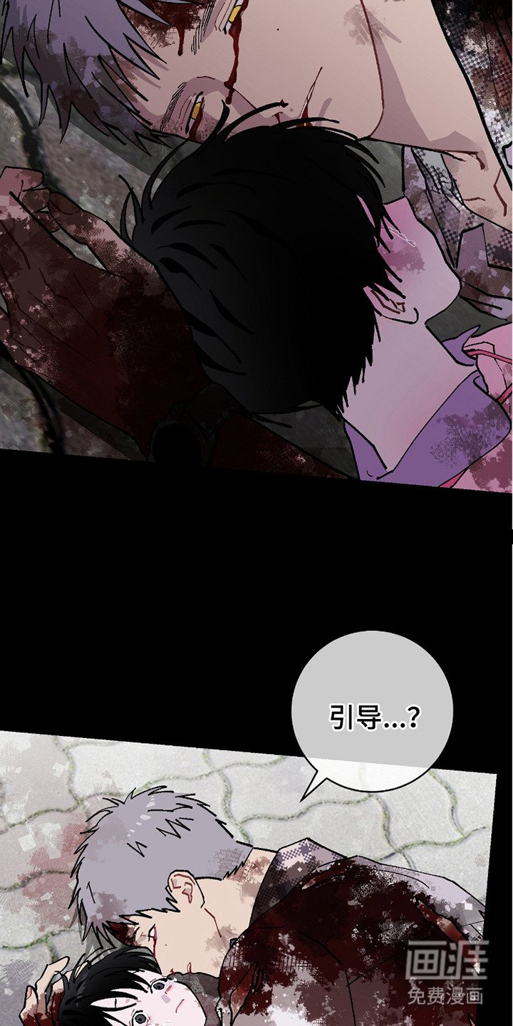 第19章：觉醒