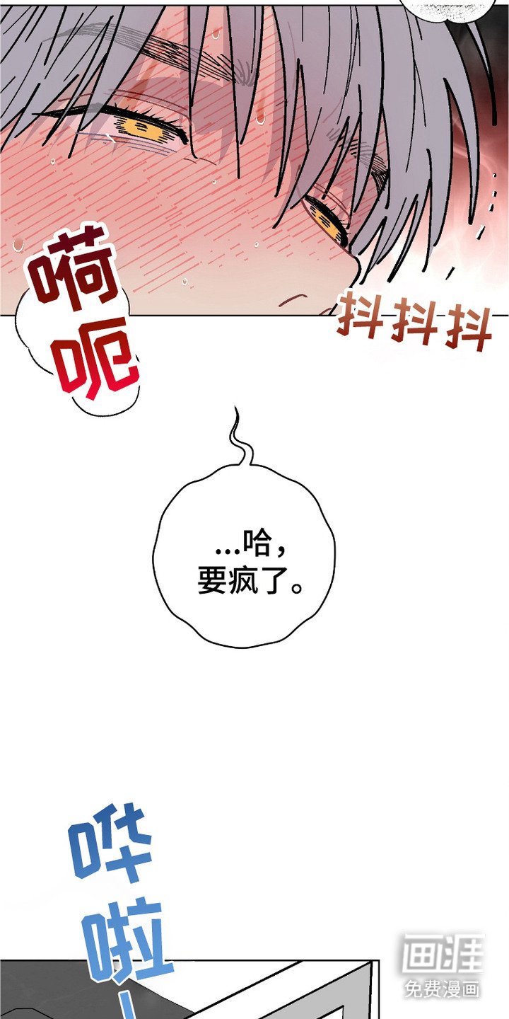 第2章：缺陷