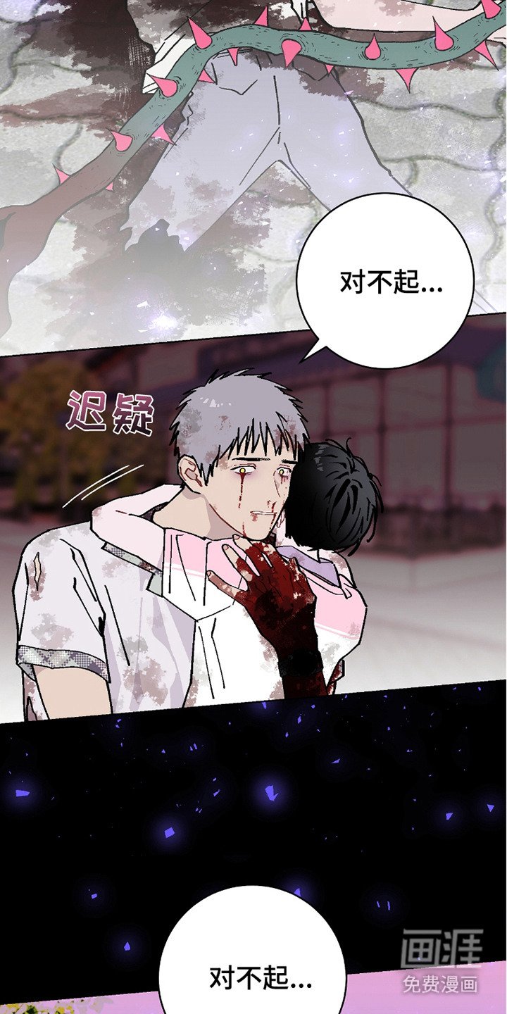第20章：我的全部