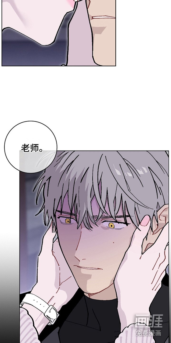 第20章：我的全部