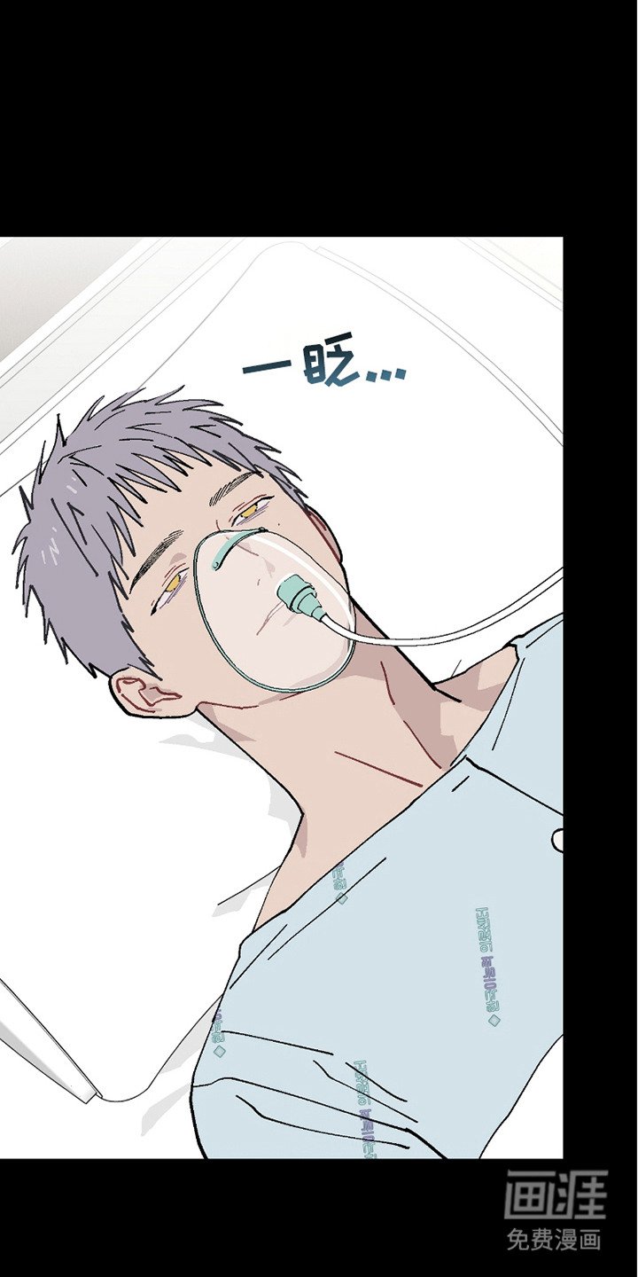 第20章：我的全部
