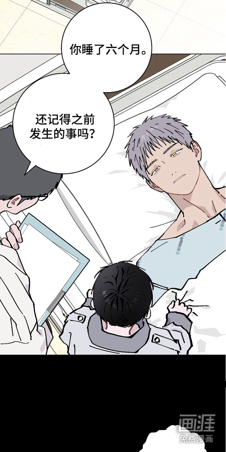 第20章：我的全部
