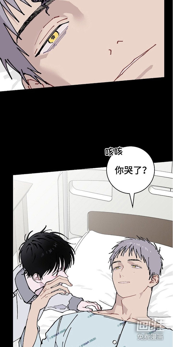 第20章：我的全部