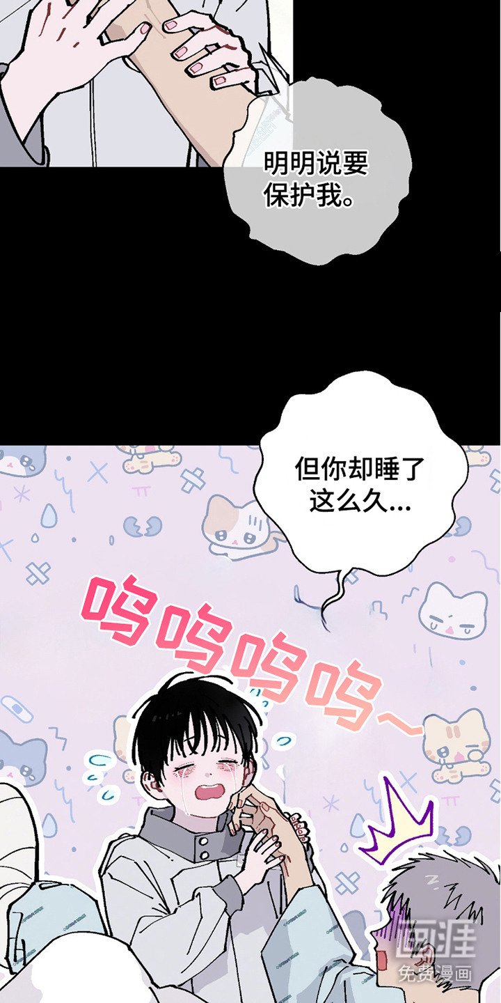 第20章：我的全部