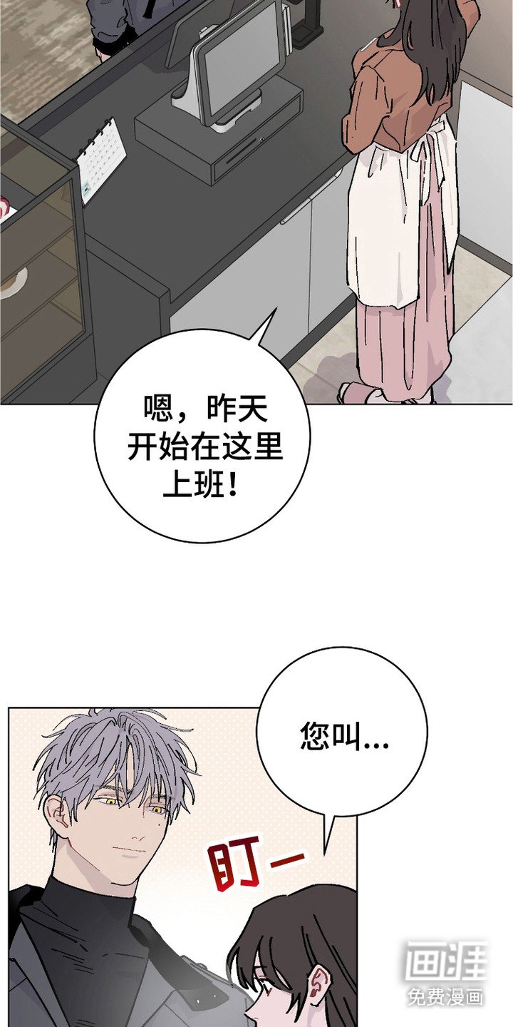第3章：咖啡店