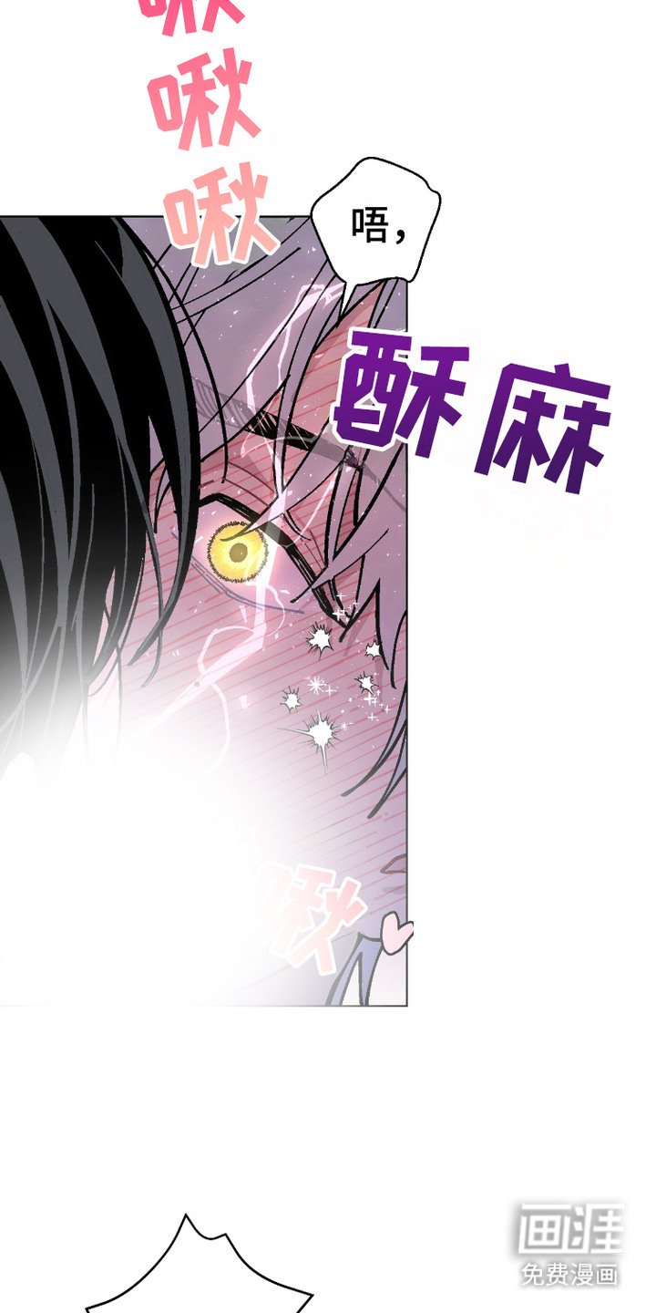 第4章：骨折