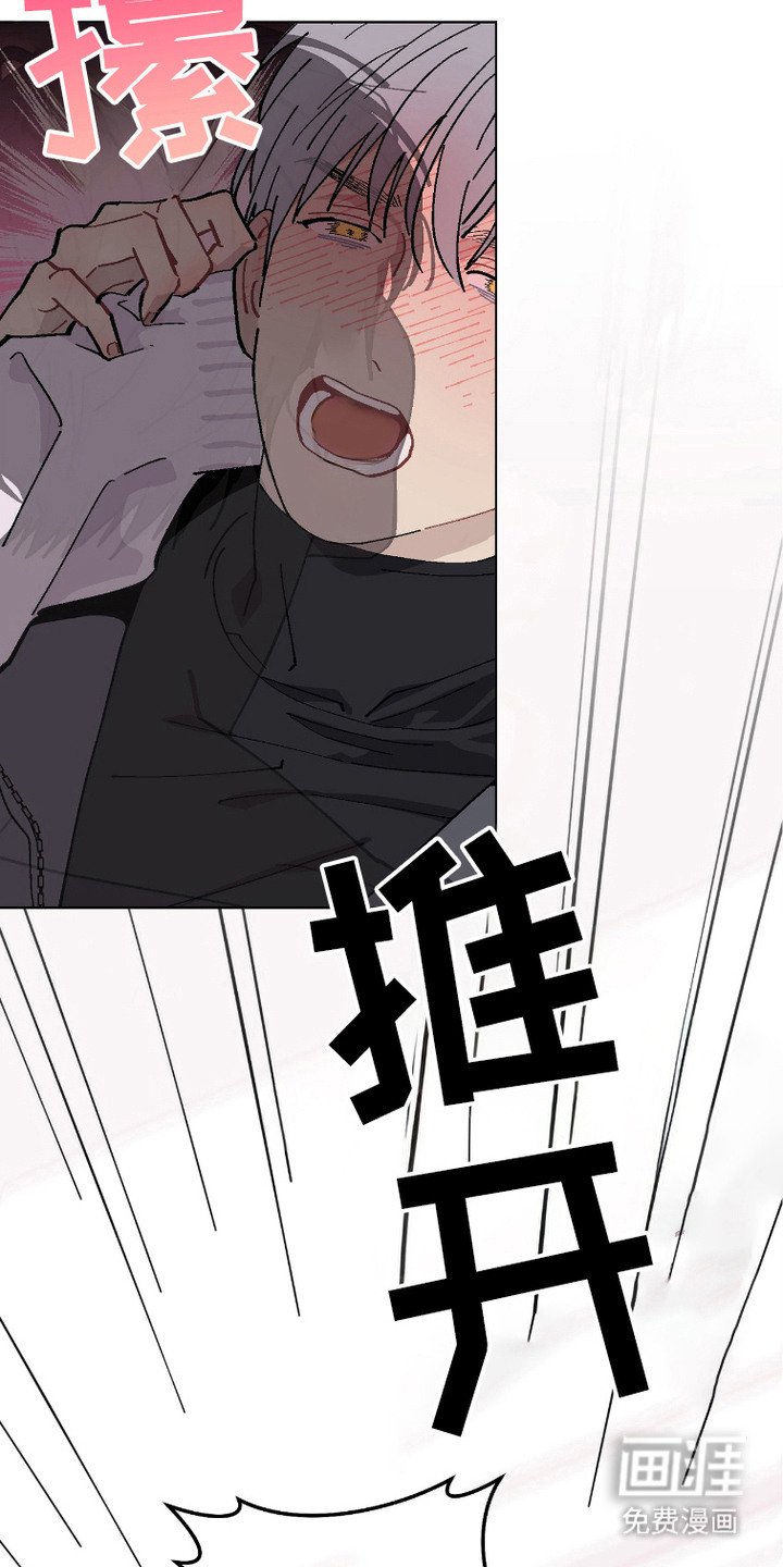 第4章：骨折