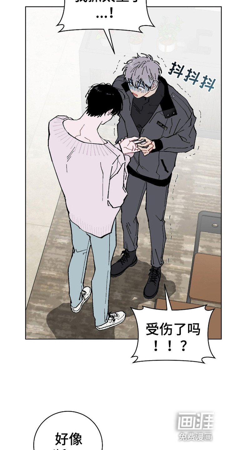第4章：骨折
