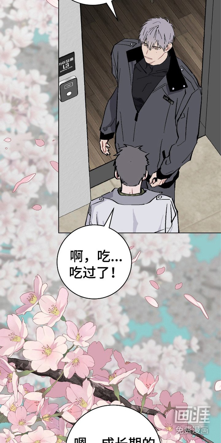 第5章：旧伤