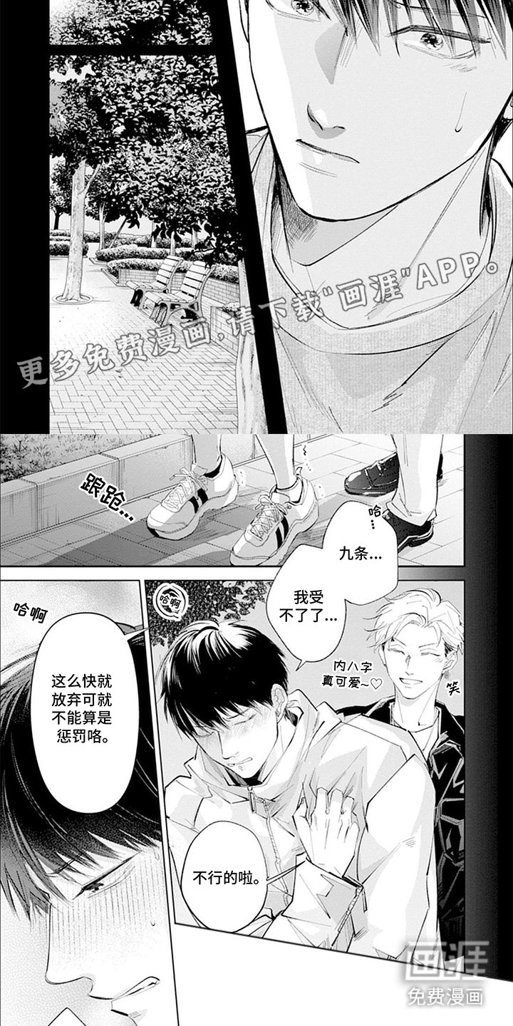 第13章：测试