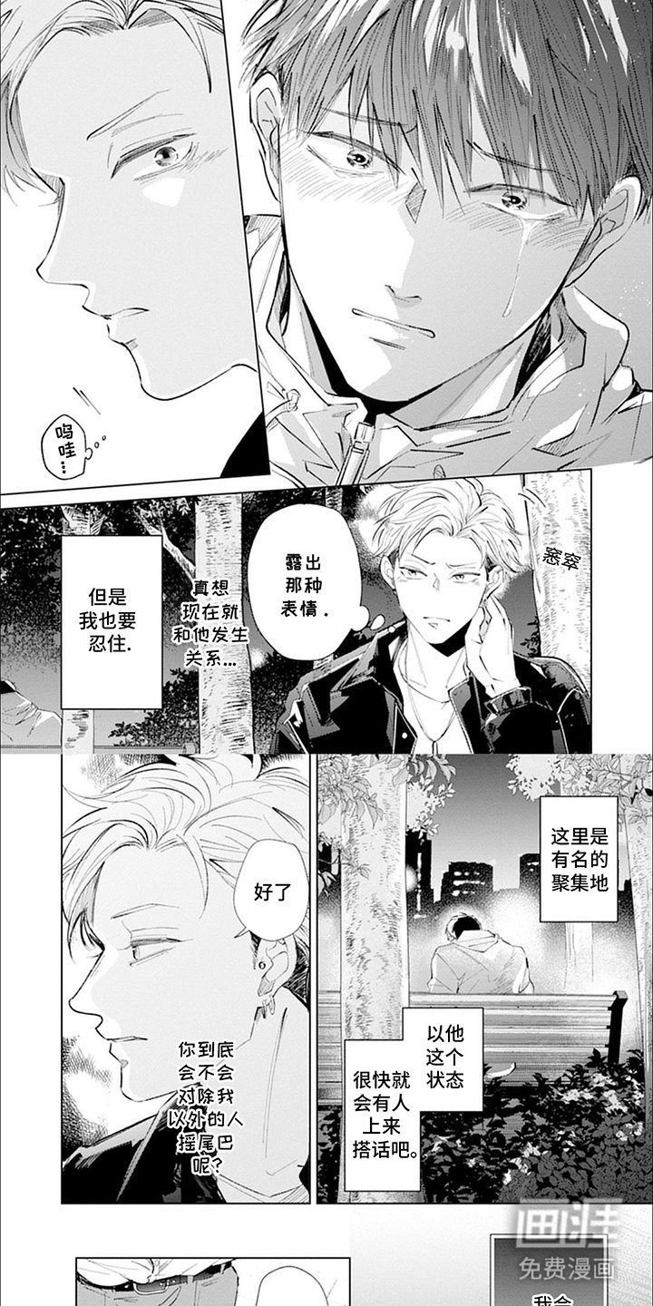 第13章：测试