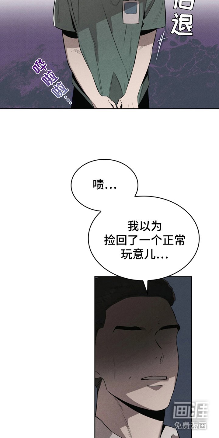 第6章：幻觉