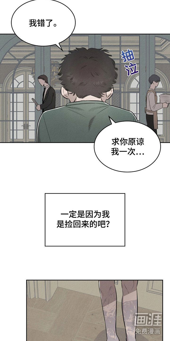 第6章：幻觉