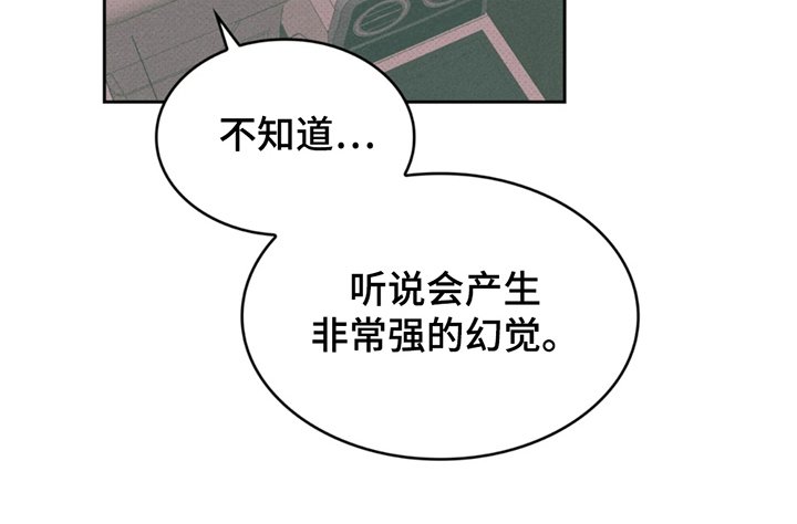 第6章：幻觉