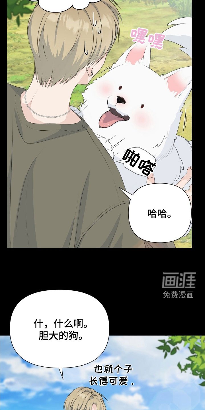 第21章：好想法