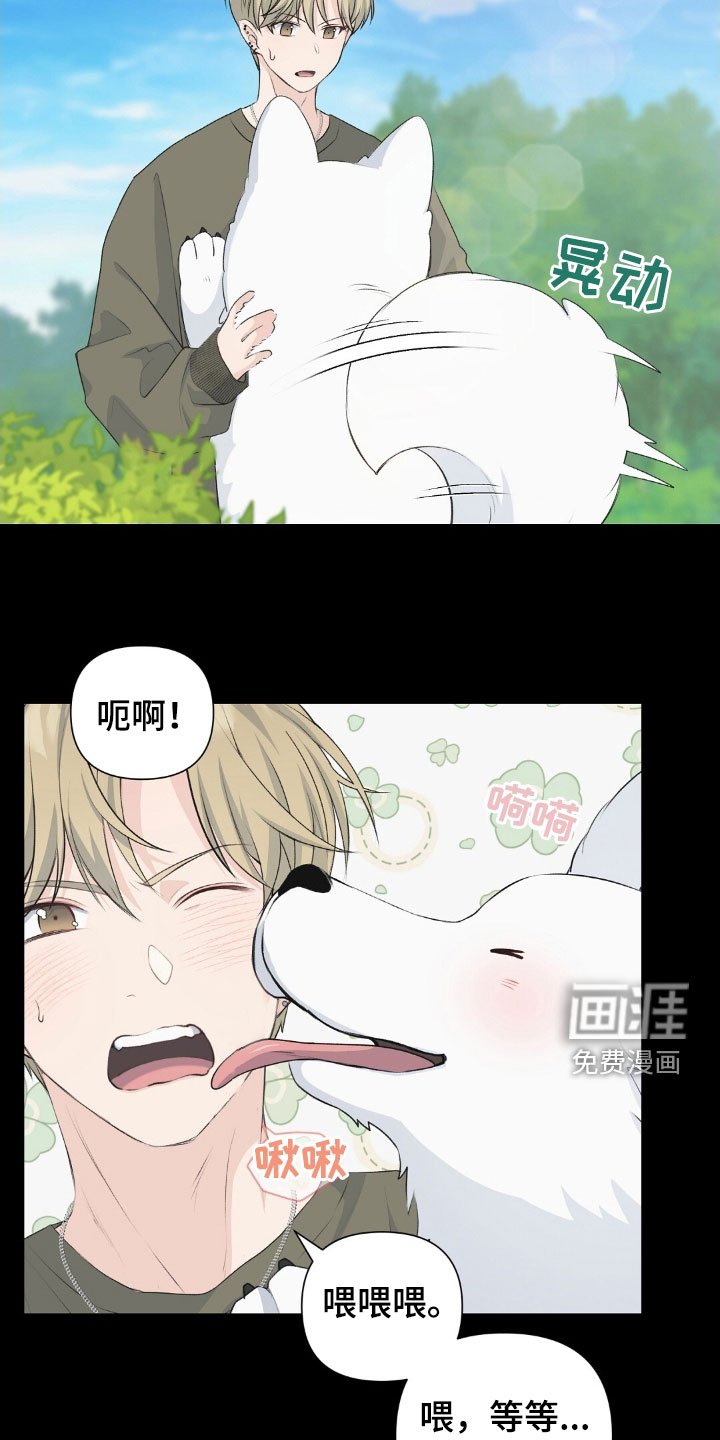 第21章：好想法