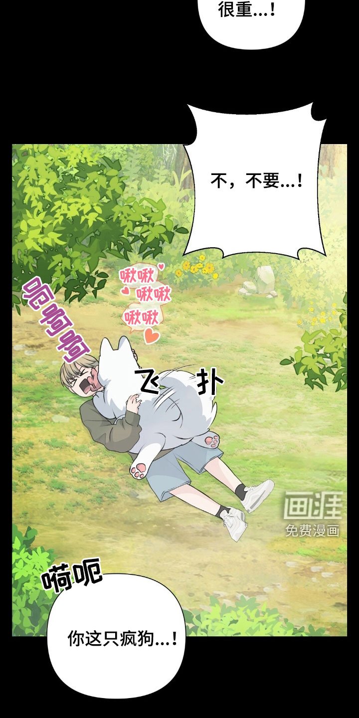 第21章：好想法