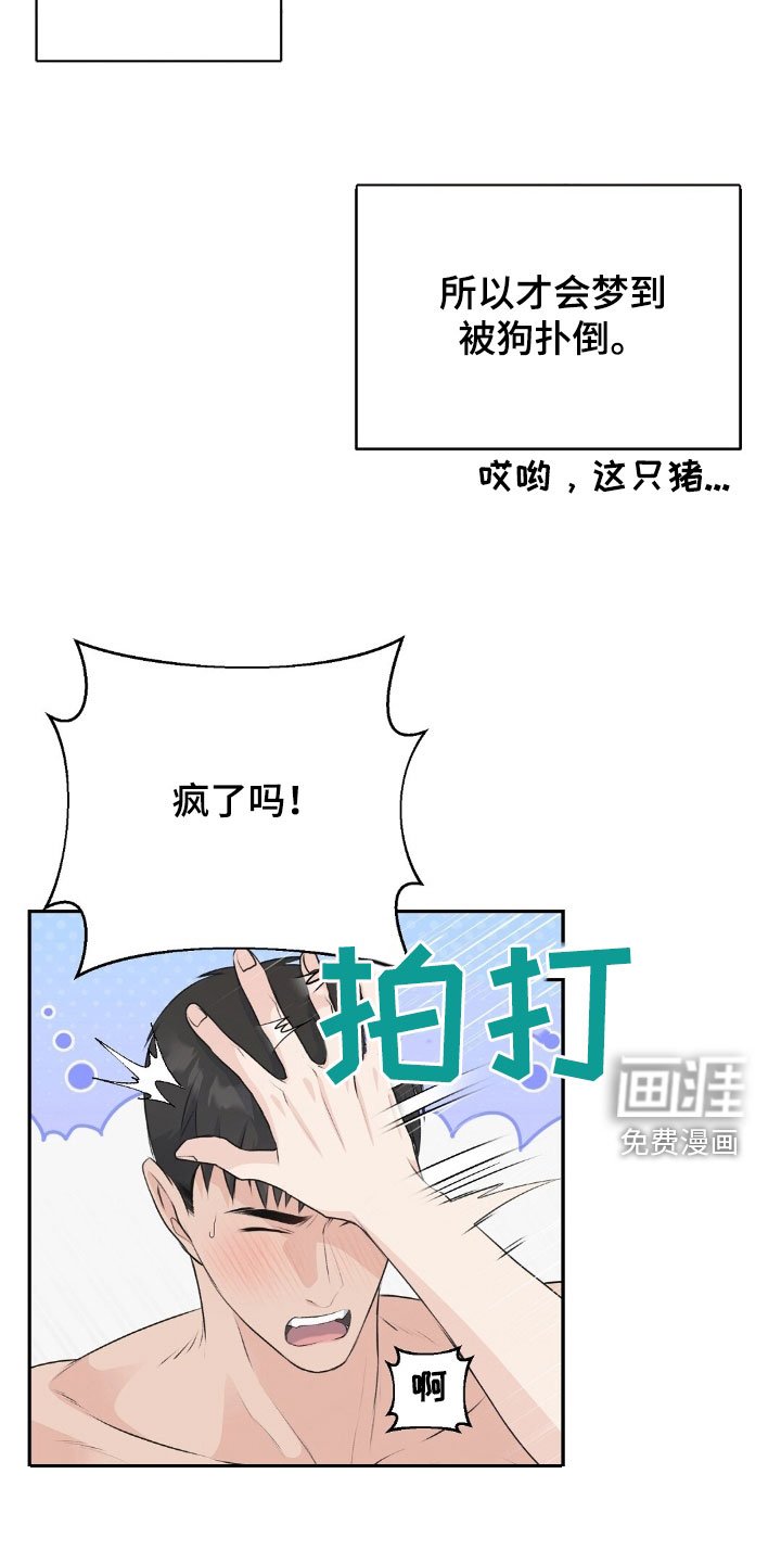 第21章：好想法